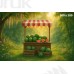 Tło fotograficzne Arbuzy 3606